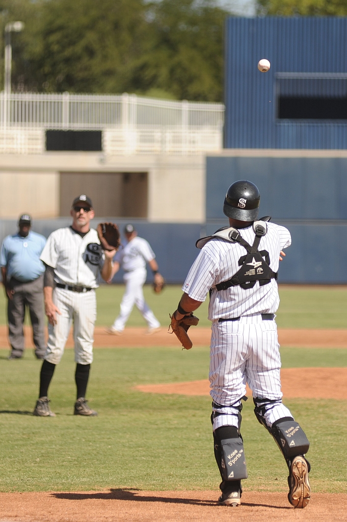 Seals_2017-10-09 (67).jpg - (c)2010 DeVetter